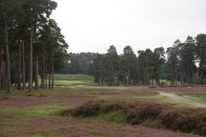 Swinley Forest 12th